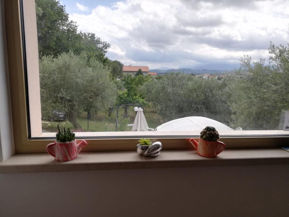 Bed and Breakfast Lory Elice Экстерьер фото
