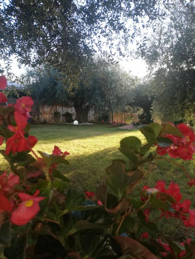 Bed and Breakfast Lory Elice Экстерьер фото